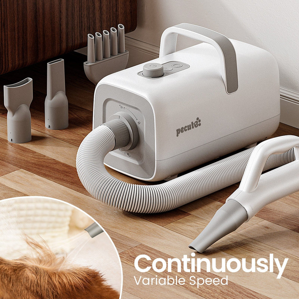 Pecute Dog Dryer with Cool-Warm-Hot Cycle Mode
