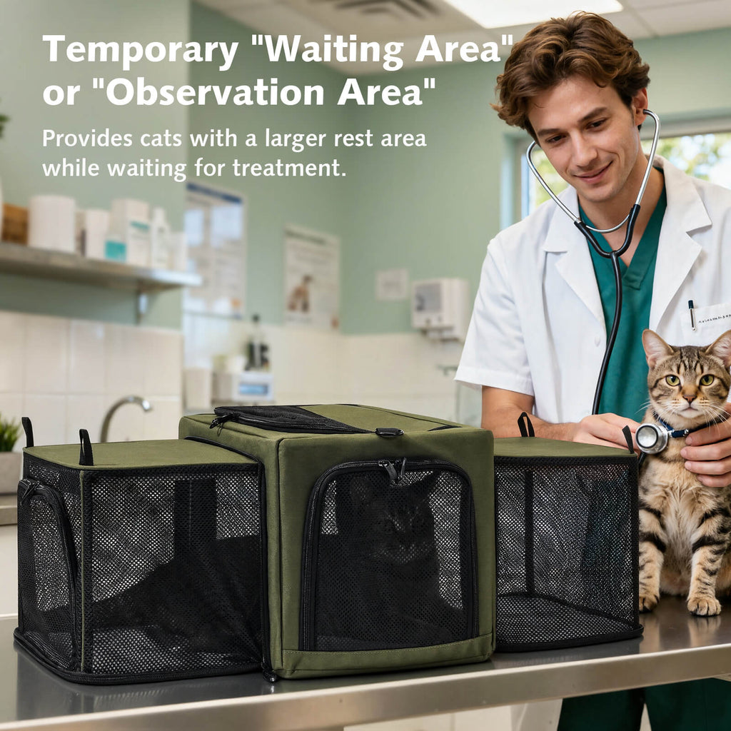 Pecute Dual Expandable Cat Carrier Bag with Stable Structure Breathable Pet Handbag