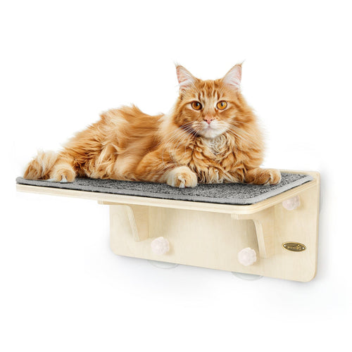 Pecute Wood Wall-Mounted Cat Climbing Shelf