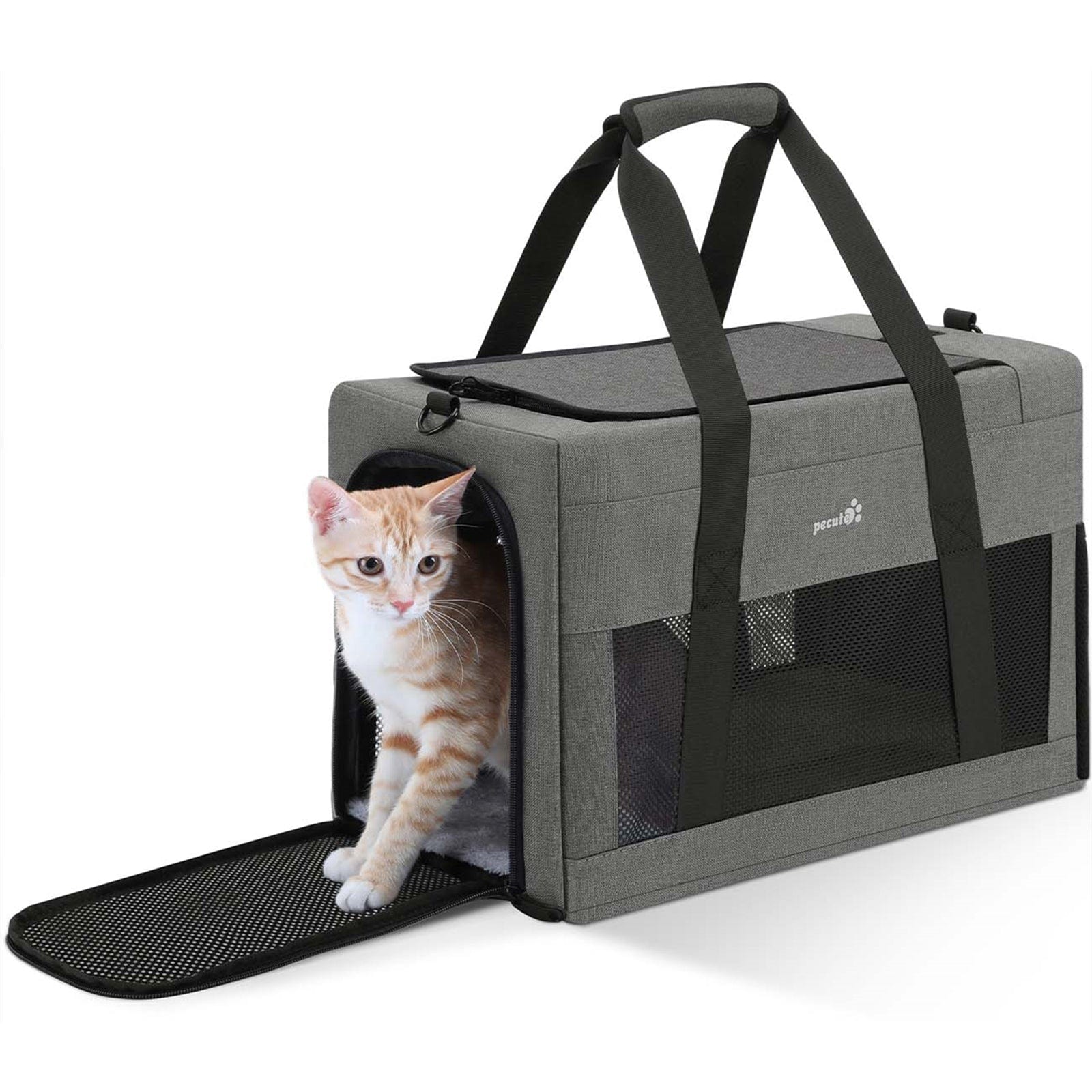 Pecute Airline Approved Cat Carrier Handbag Extra Stable Built-in Frame