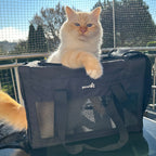 Pecute Airline Approved Cat Carrier Handbag Extra Stable Built-in Frame