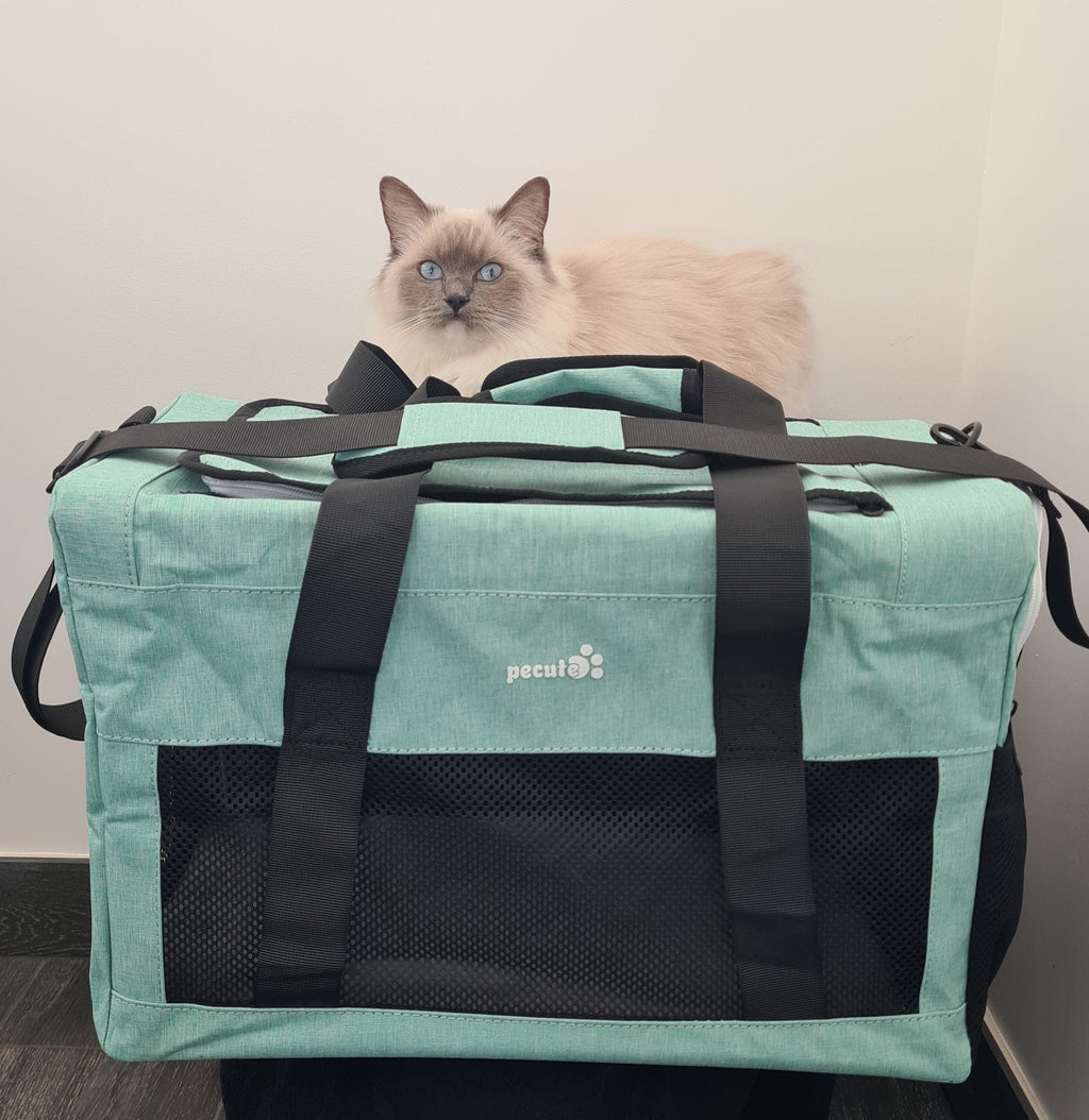 Pecute Airline Approved Cat Carrier Handbag Extra Stable Built-in Frame