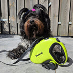Pecute 10m/32ft Retractable Dog Leash with Reflective Strips with  Poop Bag