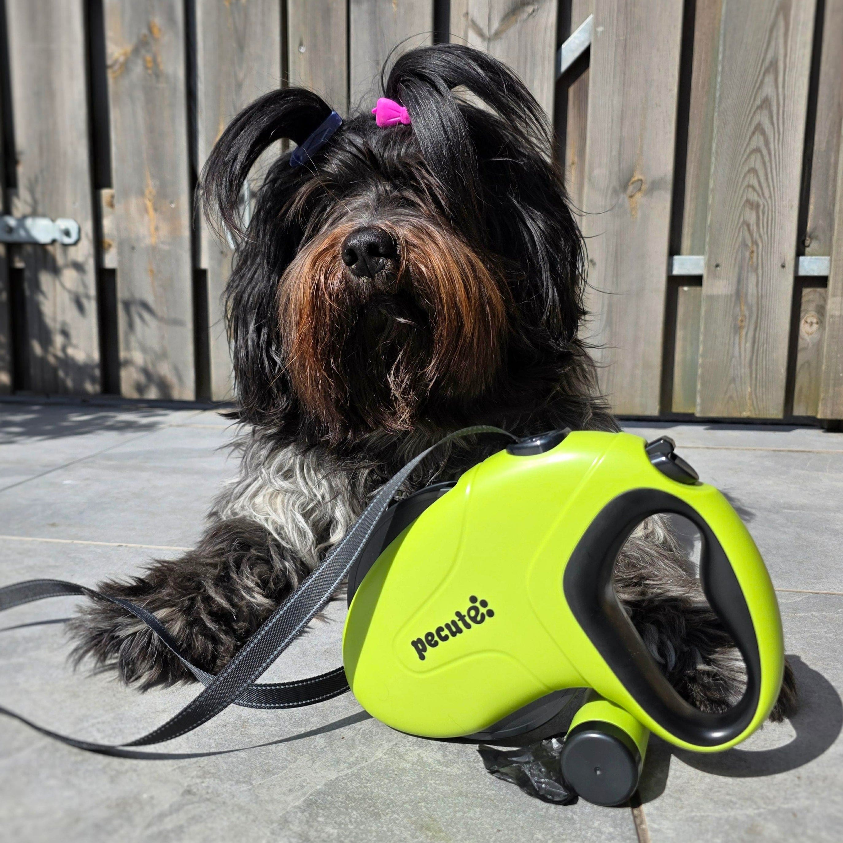 Pecute 10m/32ft Retractable Dog Leash with Reflective Strips with  Poop Bag