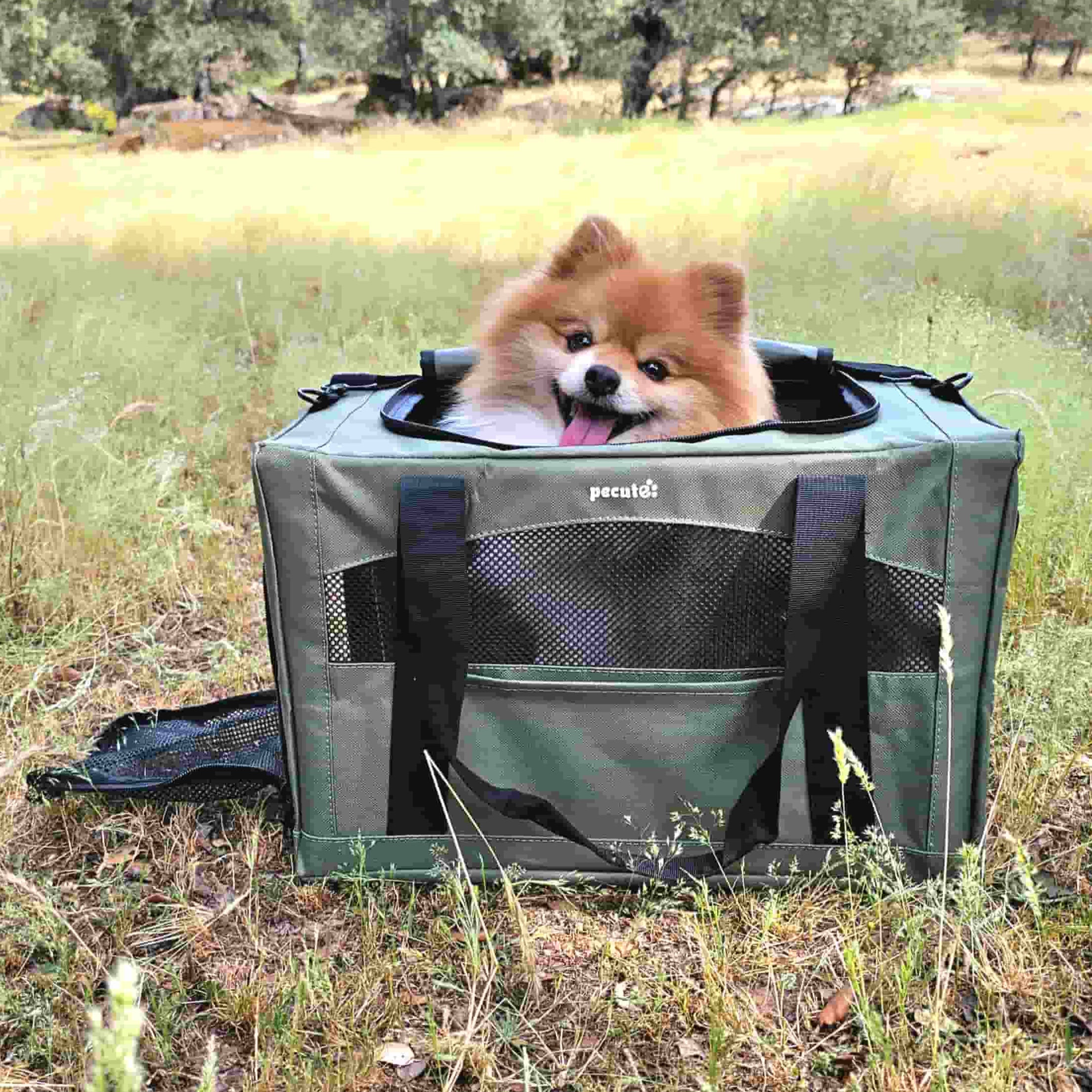 Pecute Cat Carrier Handbag Stable Breathable and Portable for Travel and Outing
