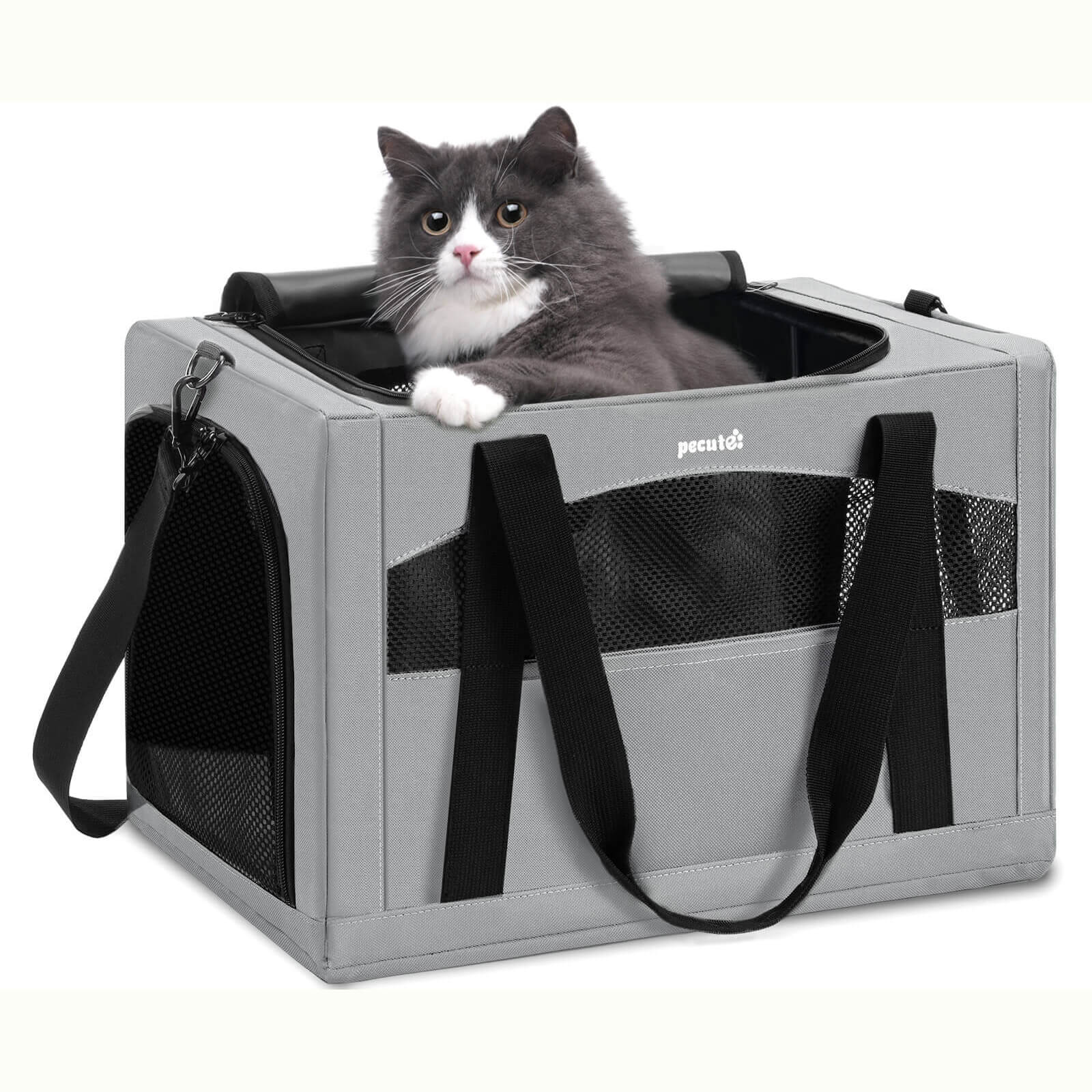 Pecute Cat Carrier Handbag Stable Breathable and Portable for Travel and Outing