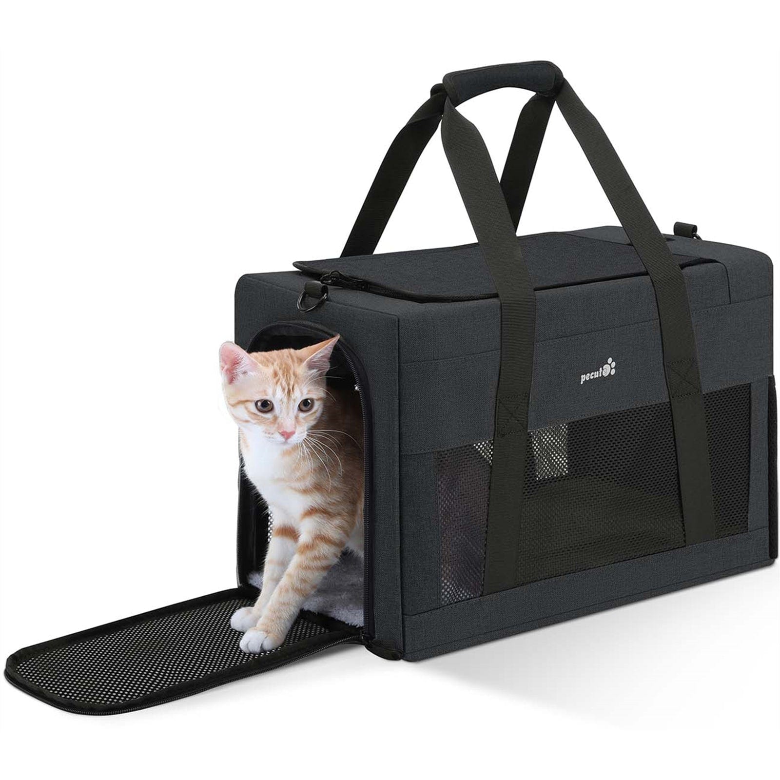 Pecute Airline Approved Cat Carrier Handbag Extra Stable Built-in Frame
