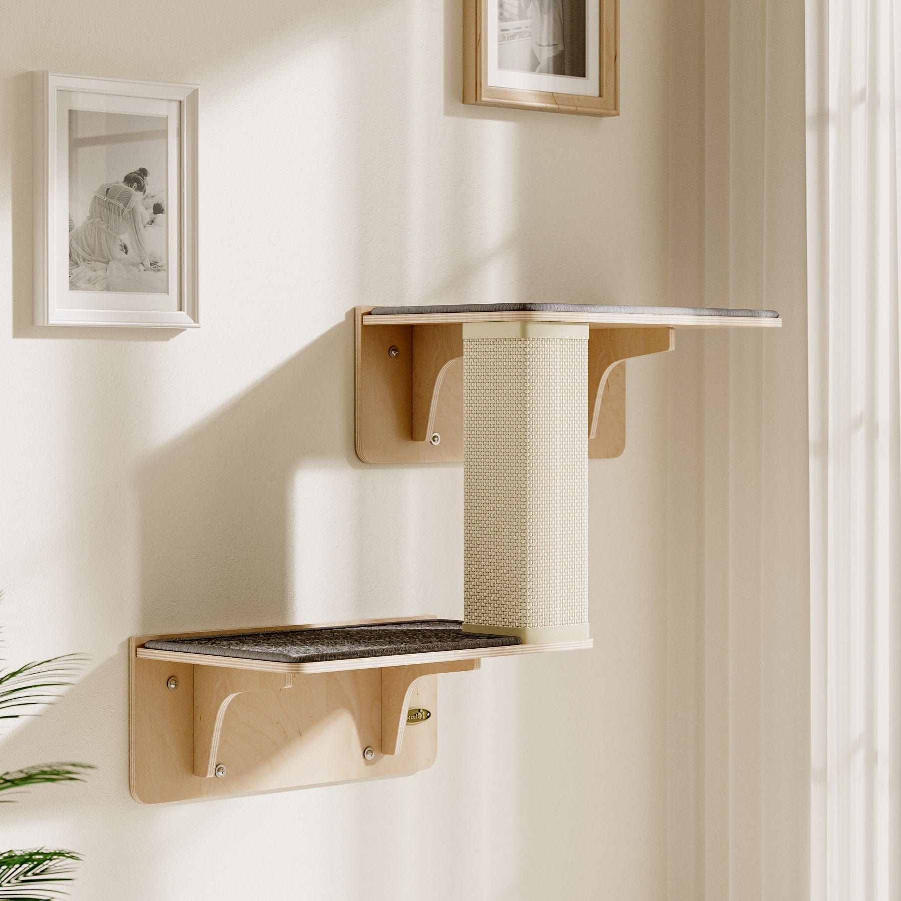 Pecute Double Cat Shelves with Cat Scratching Post for Wall Window with Solid Wood Frame