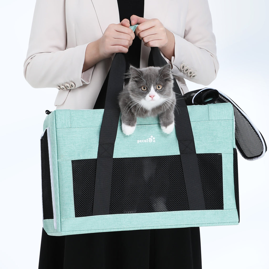Pecute Airline Approved Cat Carrier Handbag Extra Stable Built-in Frame