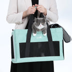 Pecute Airline Approved Cat Carrier Handbag Extra Stable Built-in Frame