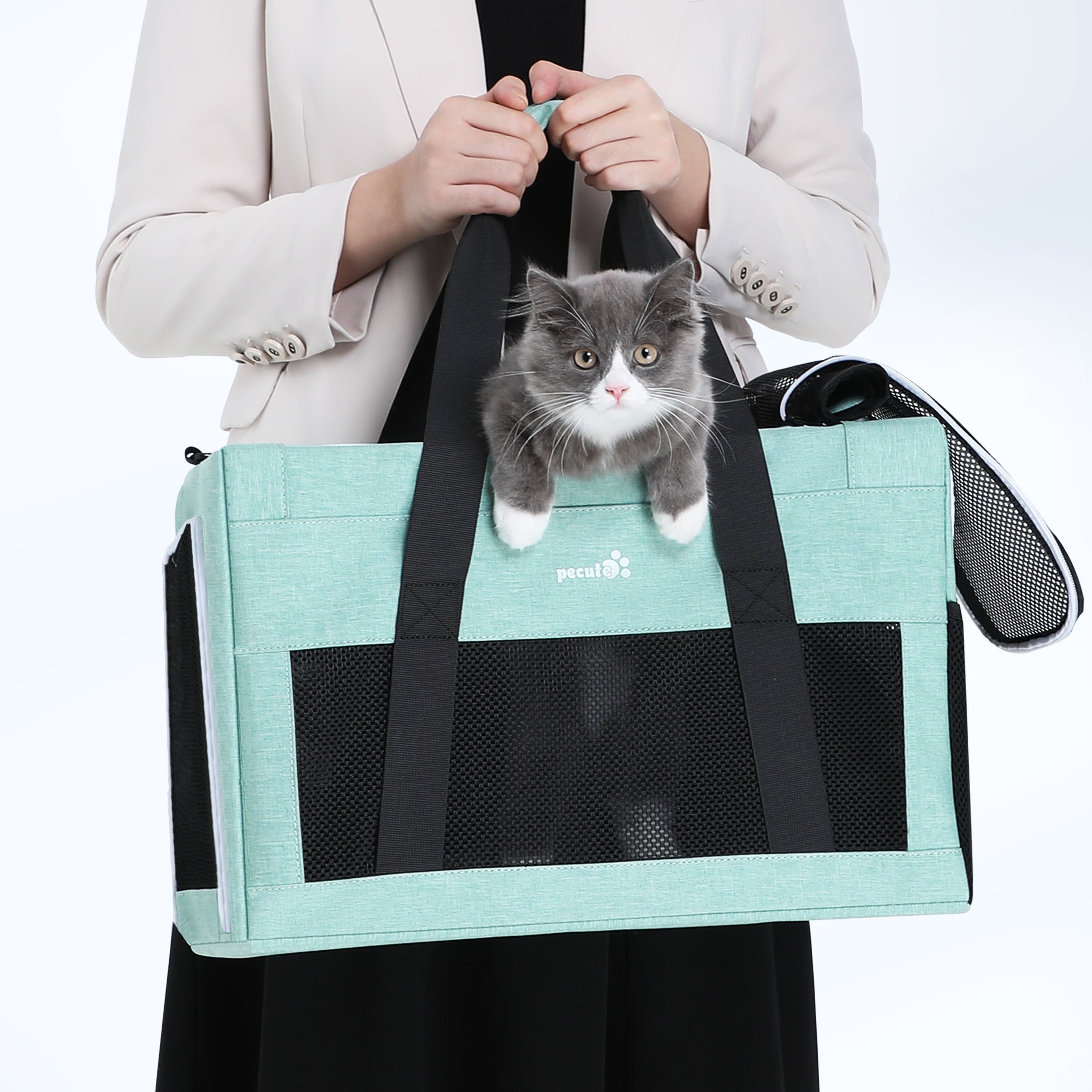 Pecute Airline Approved Cat Carrier Handbag Extra Stable Built-in Frame