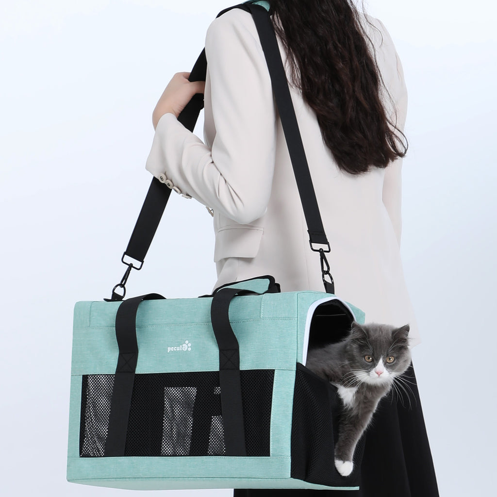 Pecute Airline Approved Cat Carrier Handbag Extra Stable Built-in Frame