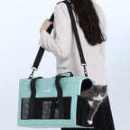 Pecute Airline Approved Cat Carrier Handbag Extra Stable Built-in Frame