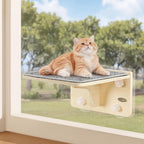 Pecute Wood Wall-Mounted Cat Climbing Shelf