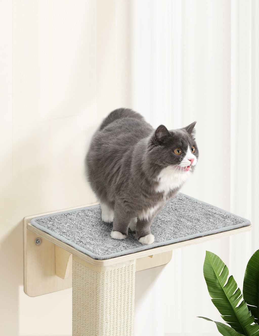 Pecute Double Cat Shelves with Cat Scratching Post for Wall Window with Solid Wood Frame