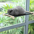 Breathable Mesh Cat Window Perch for Window
