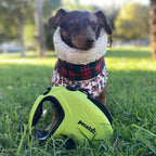 Pecute 10m/32ft Retractable Dog Leash with Reflective Strips with  Poop Bag
