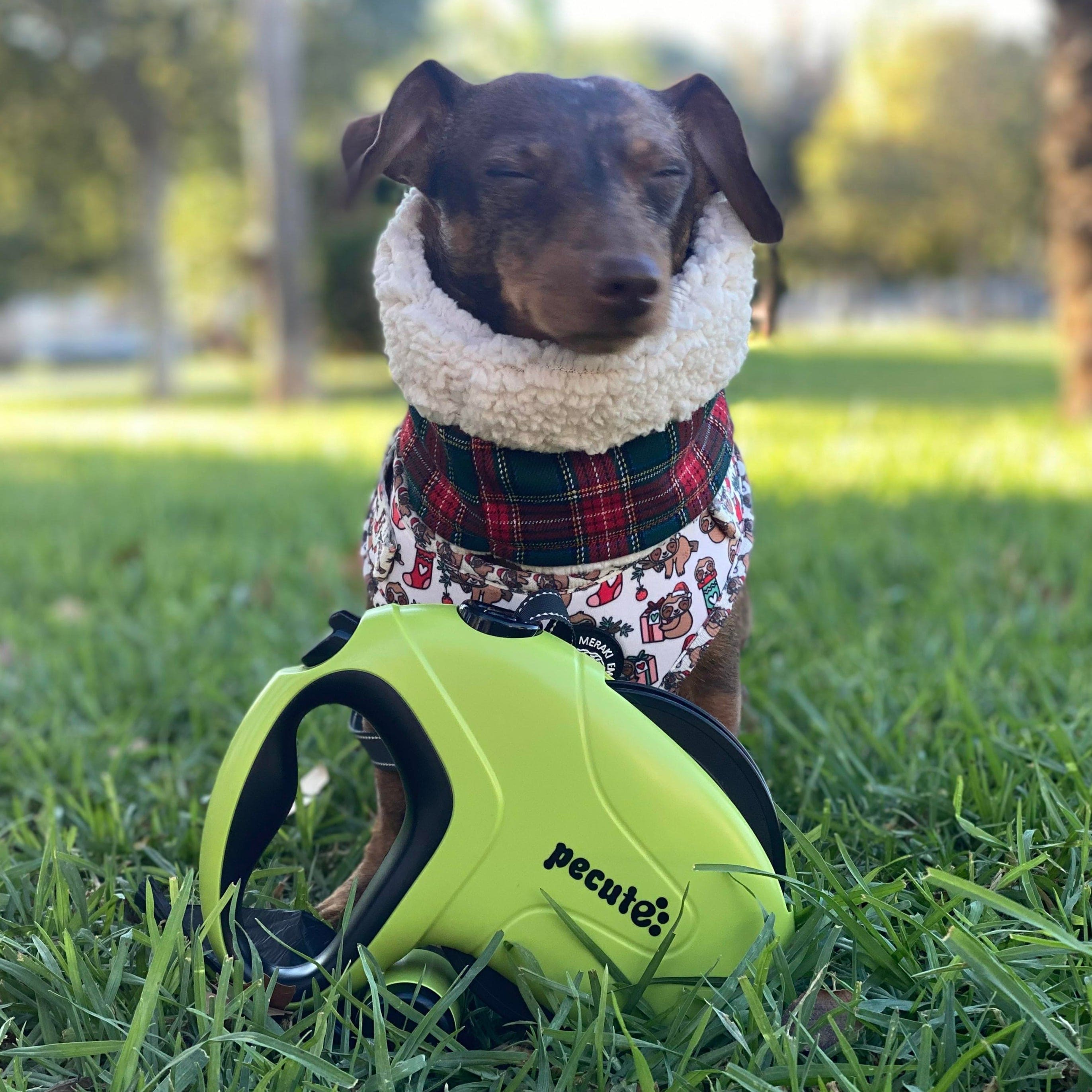 Pecute 10m/32ft Retractable Dog Leash with Reflective Strips with  Poop Bag