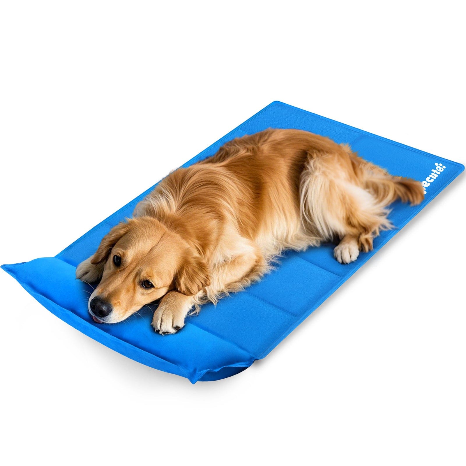 Pecute M-XL Dog Cooling Mat with Pillow