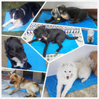 Pecute XS-XXL Dog Cooling Mat Blue