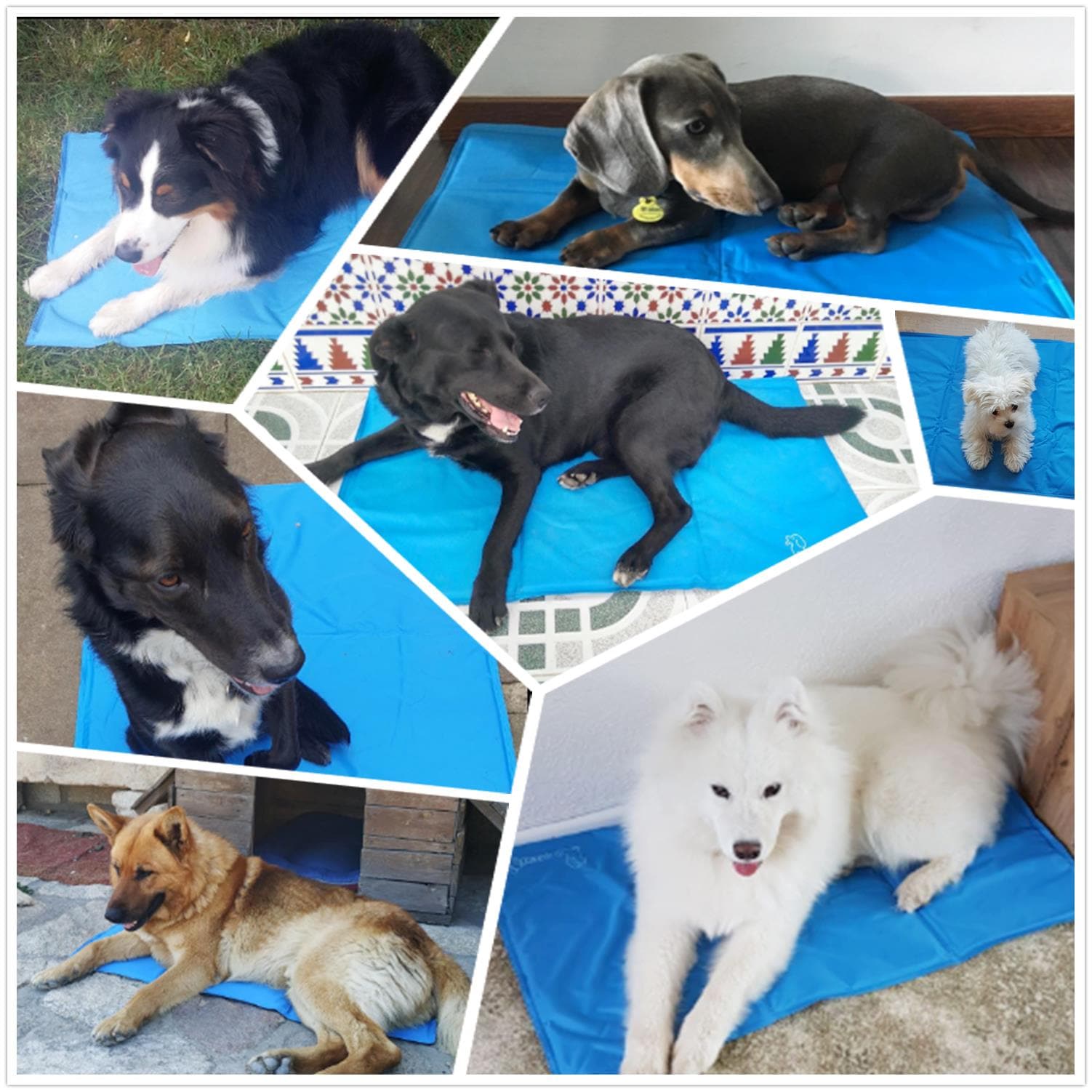 Pecute XS-XXL Dog Cooling Mat Blue