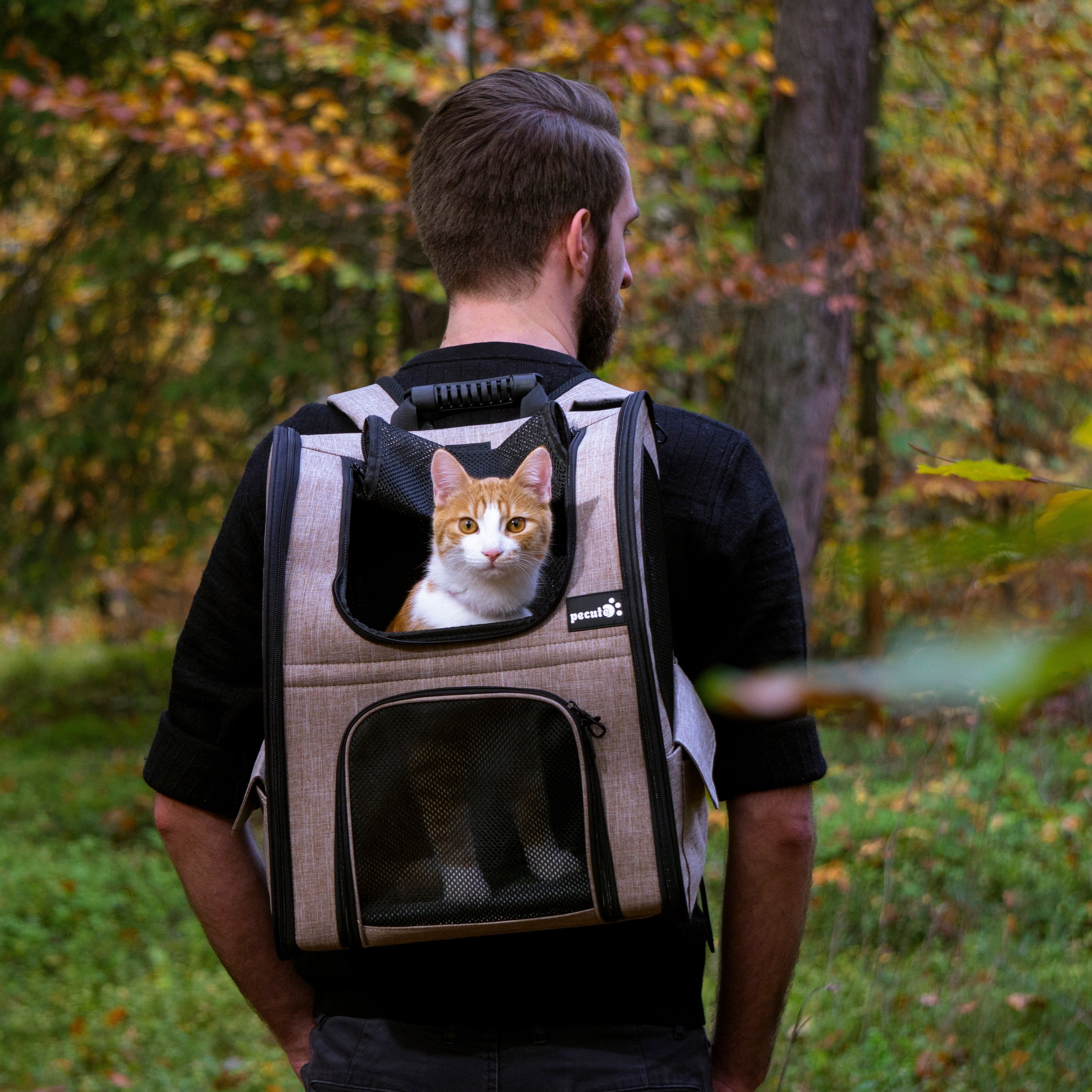 Pecute Cat Carrier Dog Backpack Expandable (Khaki)