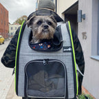Pecute Cat Carrier Dog Backpack Expandable (Grey) - As Seen on TV