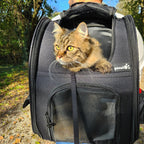 Pecute Cat Carrier Dog Backpack Expandable（Black）