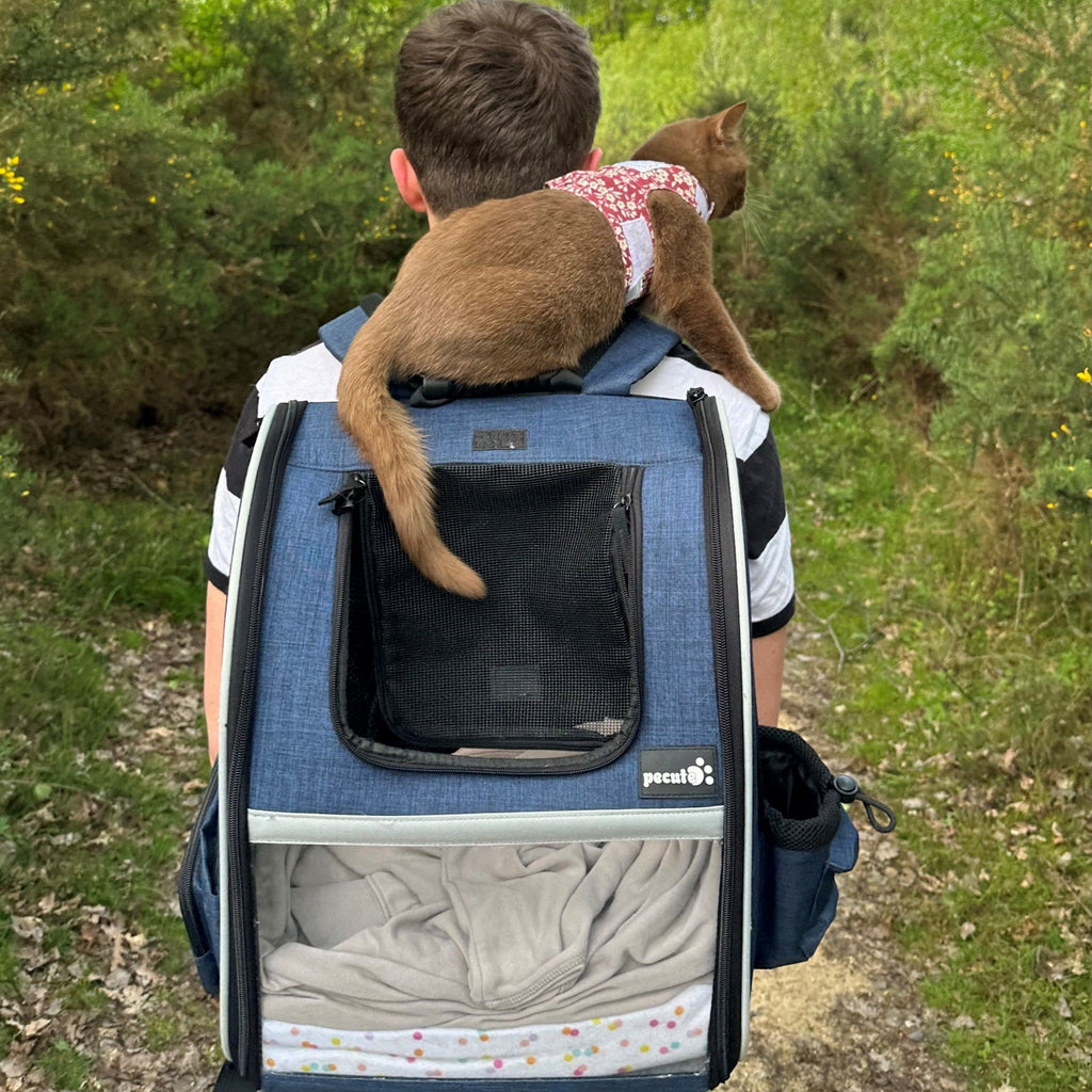 Pecute Portable Breathable Rucksack Pet Carrier Backpack