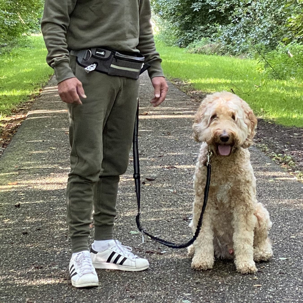 Pecute Hands Free Dog Leash