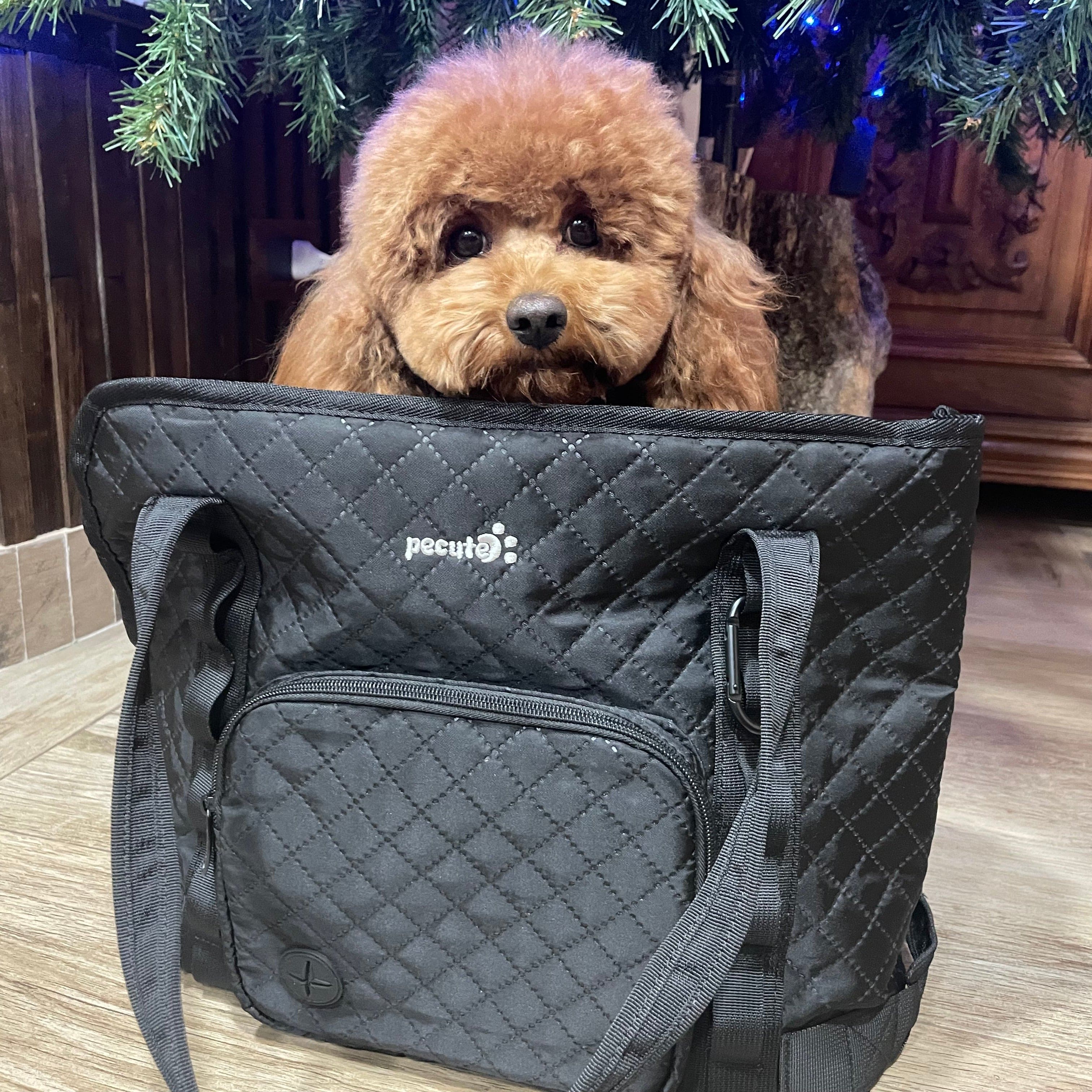 Pecute Dog Purse Carrier Lightweight for Small Dogs Puppies Tote Bag Dog Carrier