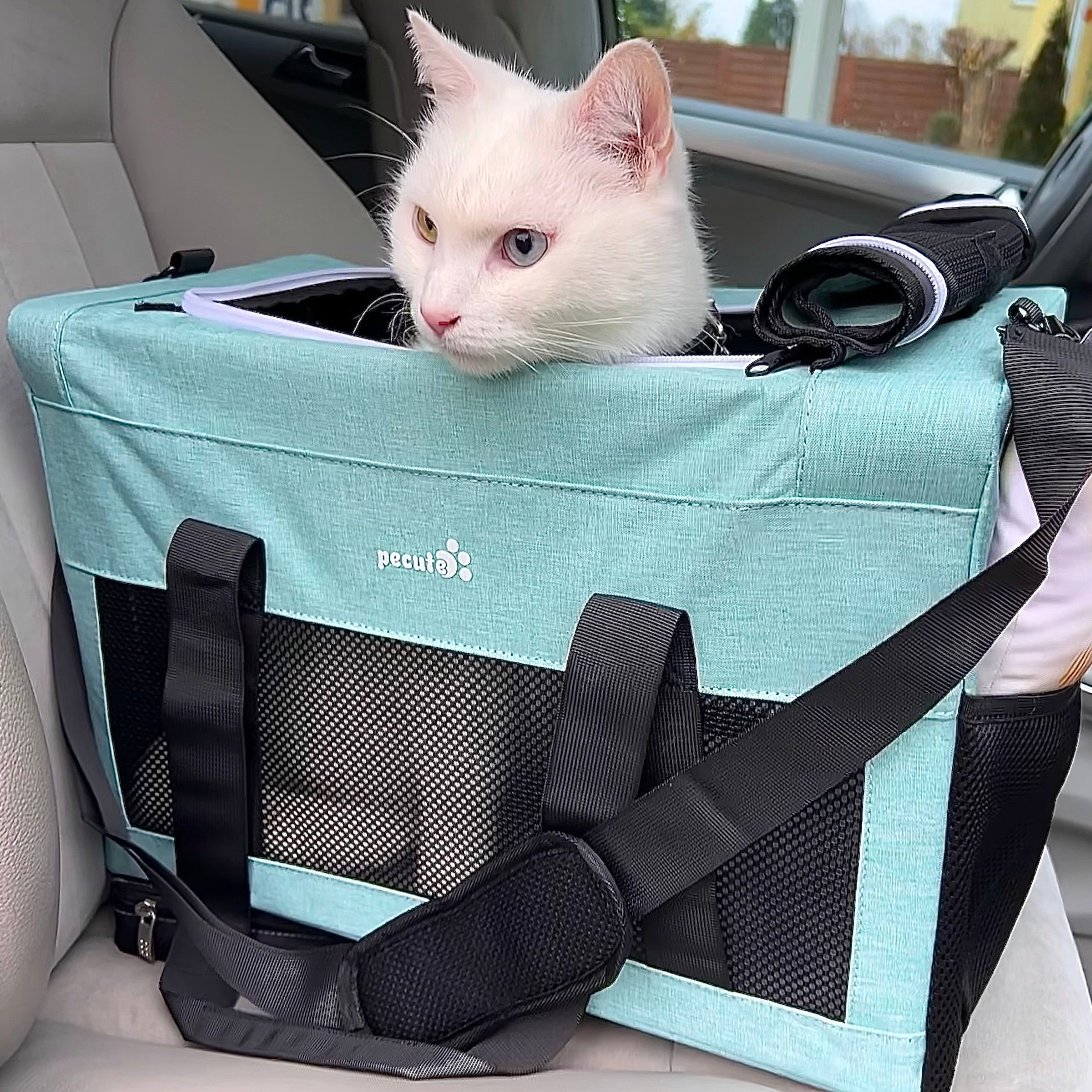 Pecute Airline Approved Cat Carrier Handbag Extra Stable Built-in Frame