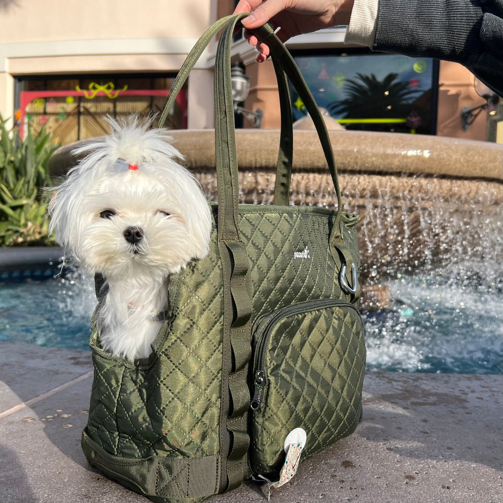 Pecute Dog Purse Carrier Lightweight for Small Dogs Puppies Tote Bag Dog Carrier