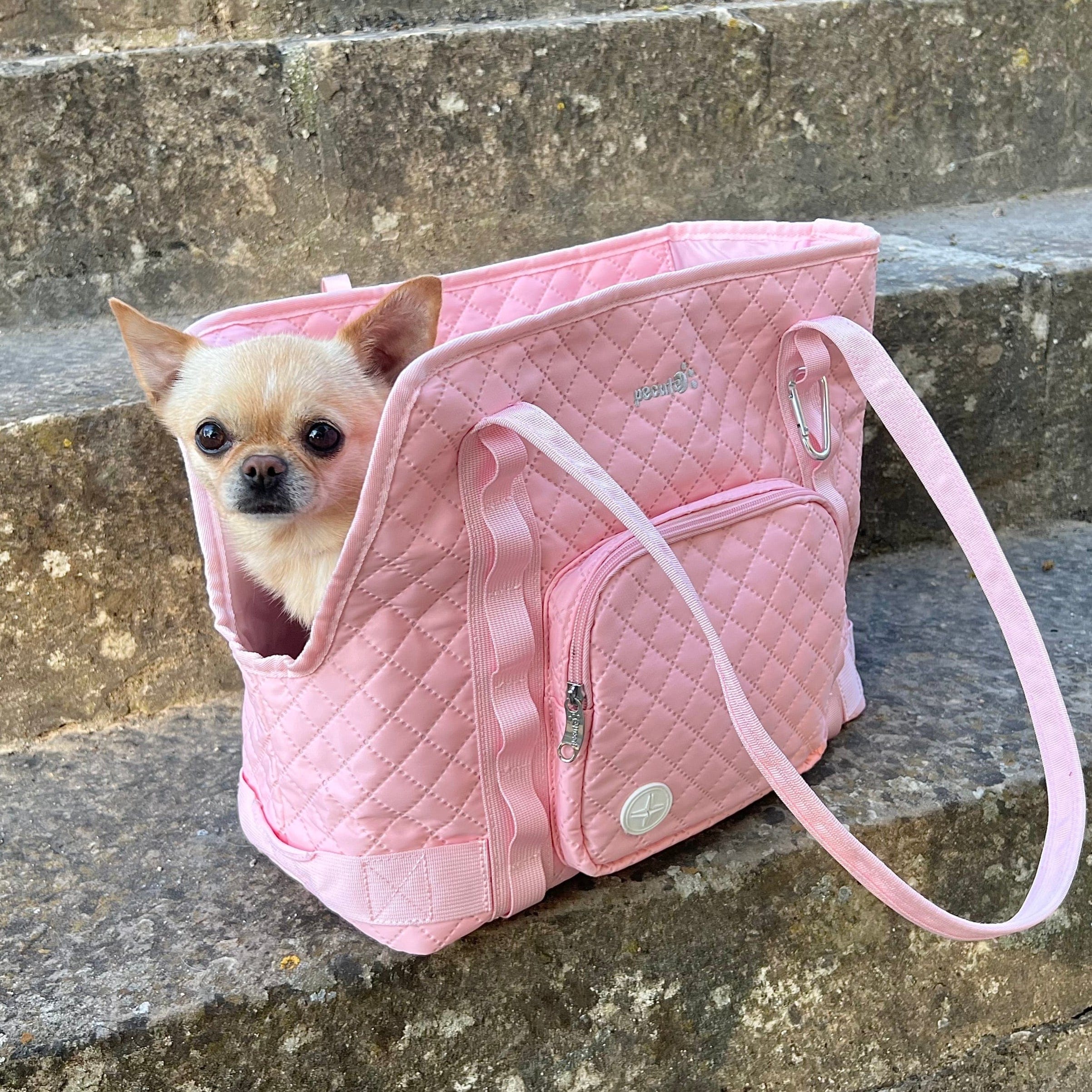 Pecute Dog Purse Carrier Lightweight for Small Dogs Puppies Tote Bag Dog Carrier