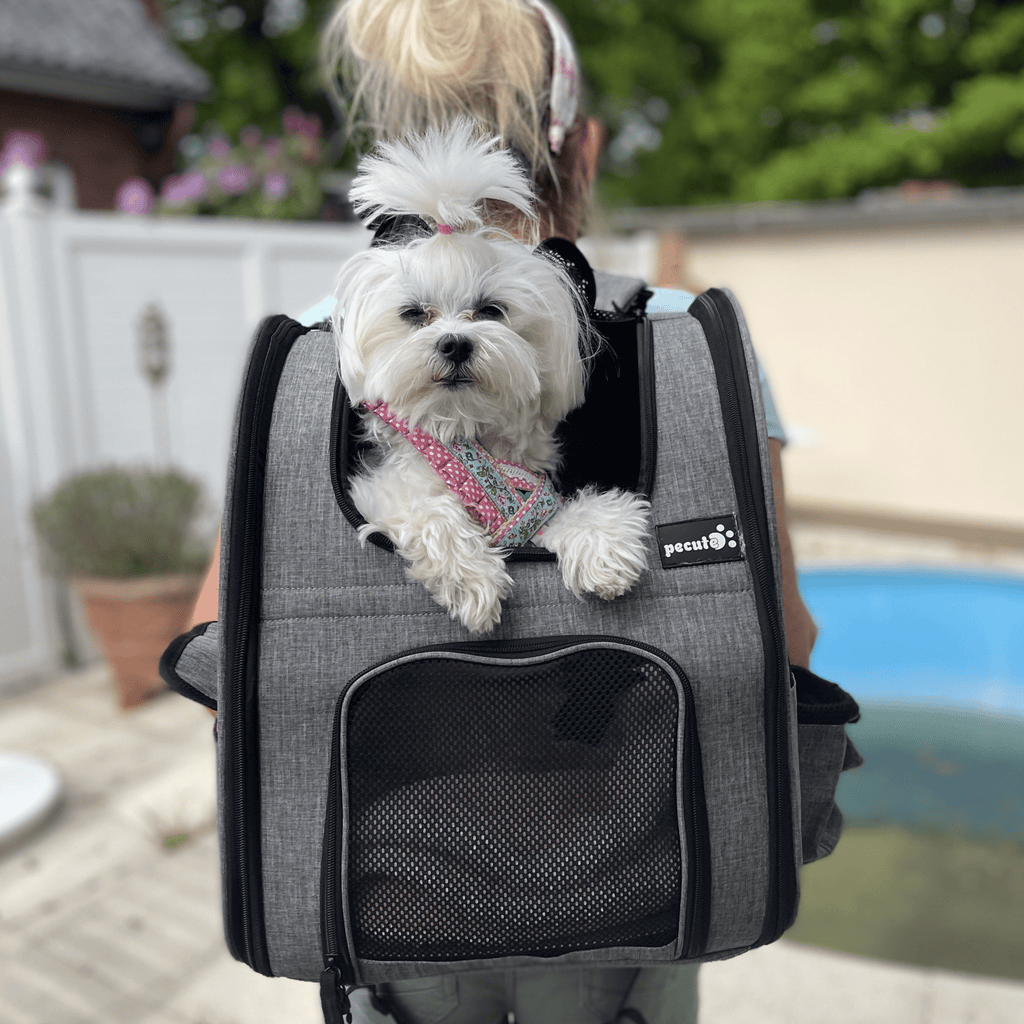 Pecute Cat Carrier Dog Backpack (Grey)