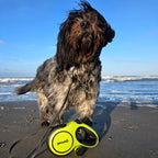 Pecute 8m/26ft Dog Lead Retractable Dog Leash with Poo Bag Holder